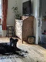 Secrétaire chêne (4).webp