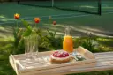 Picnic Tray